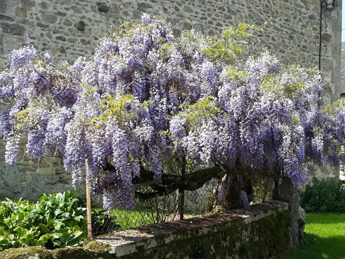 Village De Vie Saint-Vaury Dış mekan fotoğraf